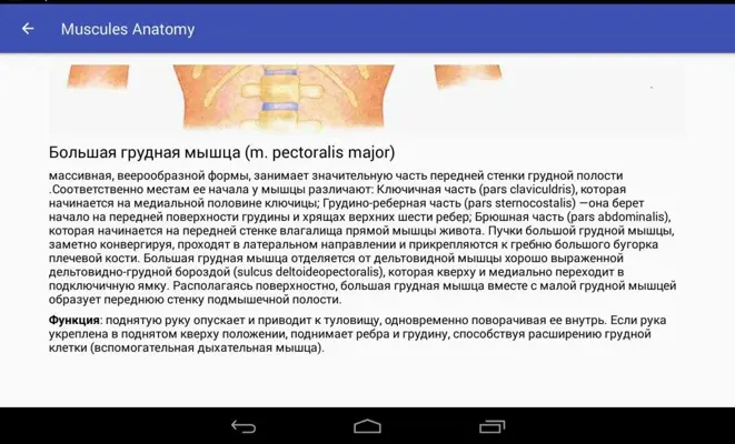 Muscle Anatomy android App screenshot 0