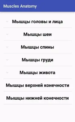Muscle Anatomy android App screenshot 9
