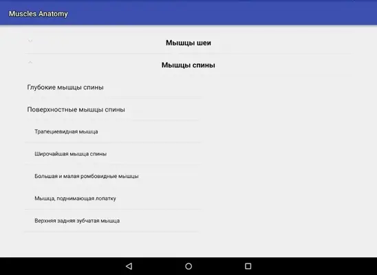 Muscle Anatomy android App screenshot 6