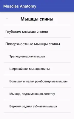 Muscle Anatomy android App screenshot 8
